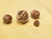 Walnut and hazelnuts