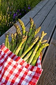 Green asparagus spears in checked cloth