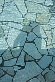 Swimming pool with shadow (detail)