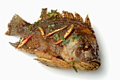 Tilapia-Fisch in Chilisauce gebraten (Thailand)