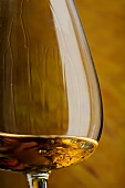 Cognac in snifter (close-up)