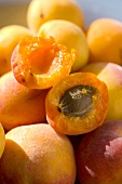 Whole apricots and one halved apricot
