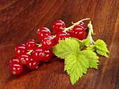 Redcurrants with leaves