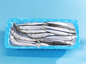 Frozen anchovies