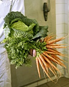 Hand holding fresh carrots and savoy cabbage