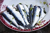Grilled sardines on plate