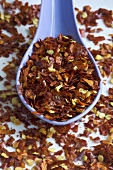 Dried chilli flakes with blue spoon