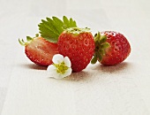 Strawberries with flower