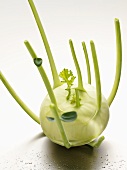 Ein Kohlrabi