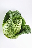 A savoy cabbage