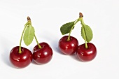Two pairs of sour cherries