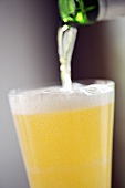 Beer being poured into a glass