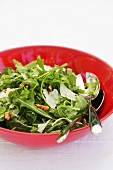 Rocket salad with walnuts and Parmesan