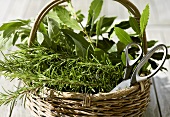 Rosemary, bay leaves and sage in a basket