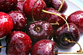 Cherries with drops of water