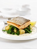 Salmon trout fillet on broccoli and potatoes