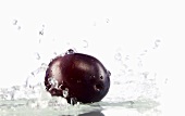 A plum being washed