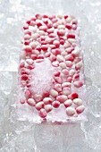 Frozen pomegranate seeds in a block of ice