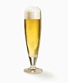 Ein Glas helles Bier