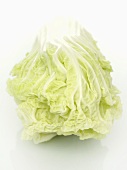 A Chinese cabbage