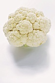 A white cauliflower on white background
