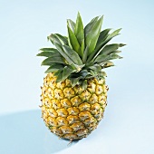 A pineapple from above