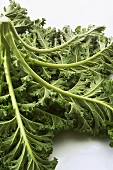 Kale, close-up