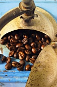 Coffee mill from above, close-up