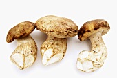 Three whole ceps