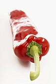A red chili pepper