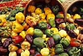 Large Variety of Bell Peppers Spilling From Large Baskets; Market
