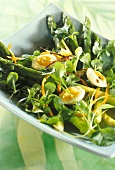 Spring salad with quail's egg