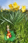 Easter nest in grass with daffodils in background