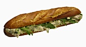 Giant chicken sandwich