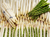 Various types of asparagus