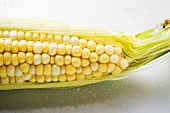 The tip of a corn cob with husks and silk