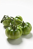 Four green beefsteak tomatoes