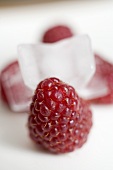 A raspberry with ice cube in background