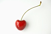 A cherry