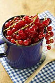 Fresh redcurrants in a jug