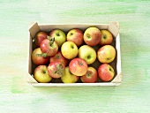 Frische Äpfel in der Kiste