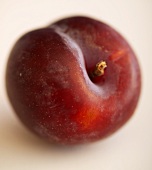 A plum