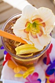 Eine Amaryllis-Blüte auf einem Cocktail