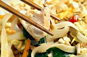 Singapore noodles (Noodles with chicken and vegetables)