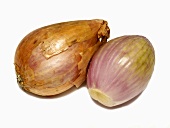 Two shallots