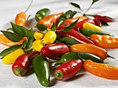 Assorted chillies in a heap
