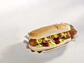 Ein Hot Dog mit Zwiebeln, Ketchup & Senf