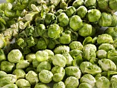 Brussels sprouts