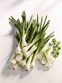 Spring onions in a heap