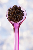 Osietra caviar on pink plastic spoon